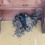 El Mirador Del Gato I Y Ii * Mesegar de Corneja