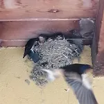 El Mirador Del Gato I Y Ii Mesegar de Corneja