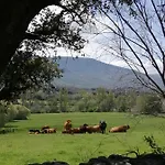 El Mirador Del Gato I Y Ii * Mesegar de Corneja
