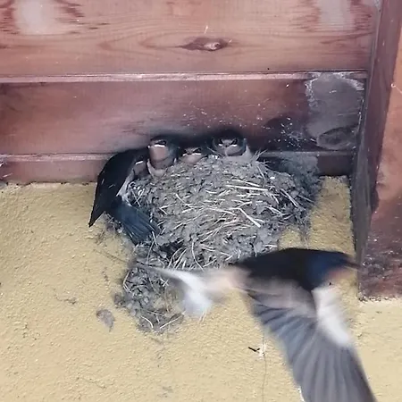 El Mirador Del Gato I Y Ii Mesegar de Corneja