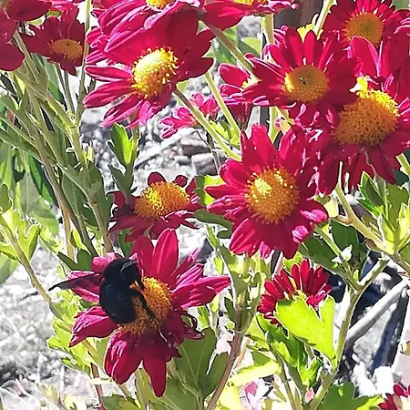 El Mirador Del Gato I Y Ii