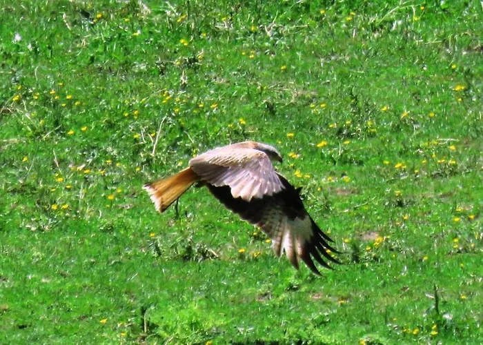 El Mirador Del Gato I Y Ii Dom wakacyjny *