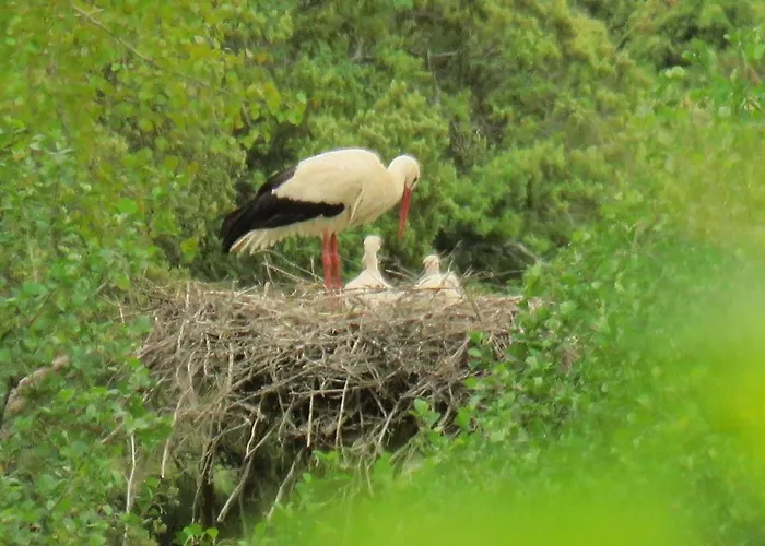 El Mirador Del Gato I Y Ii Prázdninový dům