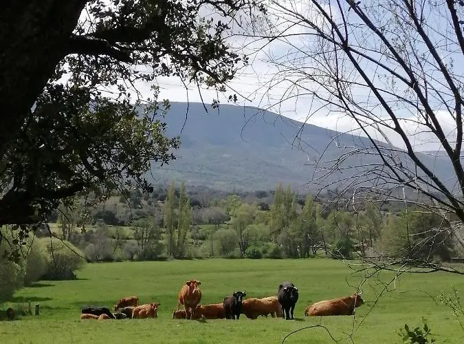 El Mirador Del Gato I Y Ii * Mesegar de Corneja