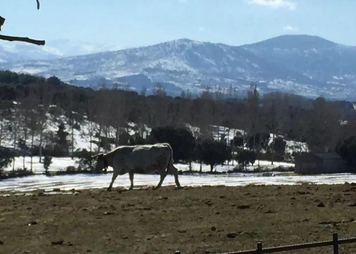 El Mirador Del Gato I Y Ii Prázdninový dům Mesegar de Corneja
